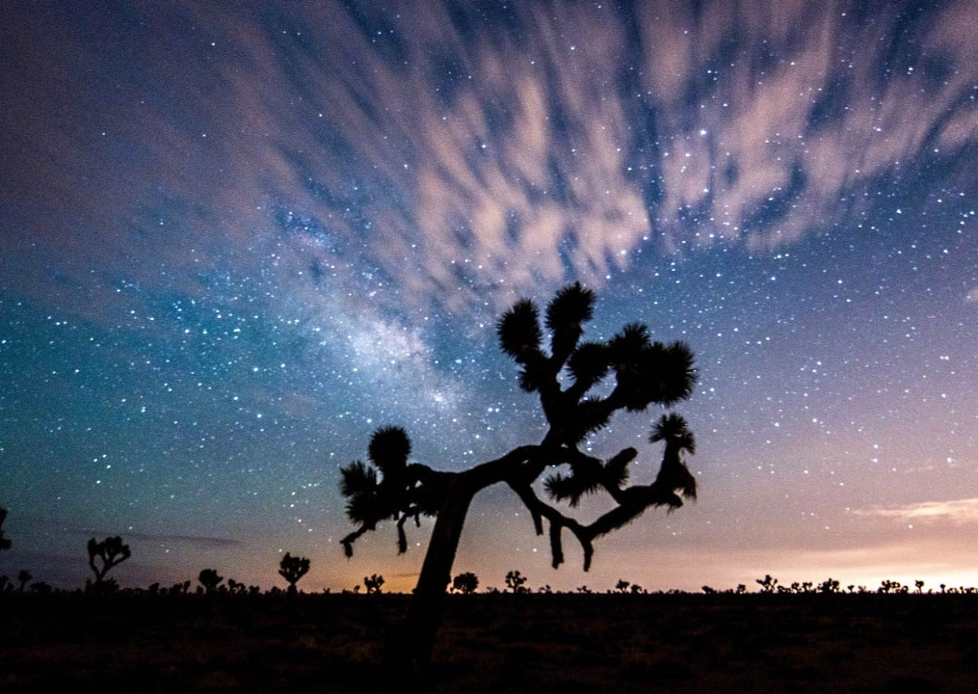 Desert Sunset